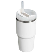 Frost Stanley The Quencher H2.0 FlowState™ Tumbler 20 OZ